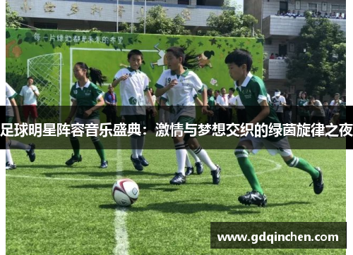 足球明星阵容音乐盛典：激情与梦想交织的绿茵旋律之夜