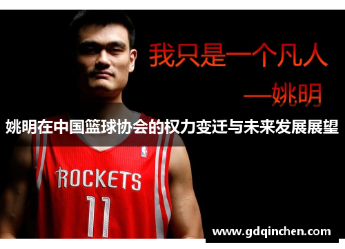 姚明在中国篮球协会的权力变迁与未来发展展望