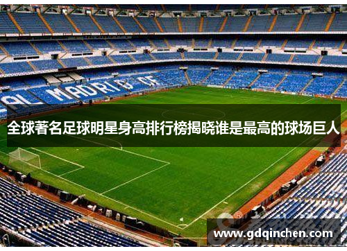 全球著名足球明星身高排行榜揭晓谁是最高的球场巨人