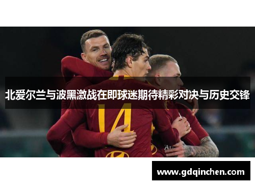 北爱尔兰与波黑激战在即球迷期待精彩对决与历史交锋